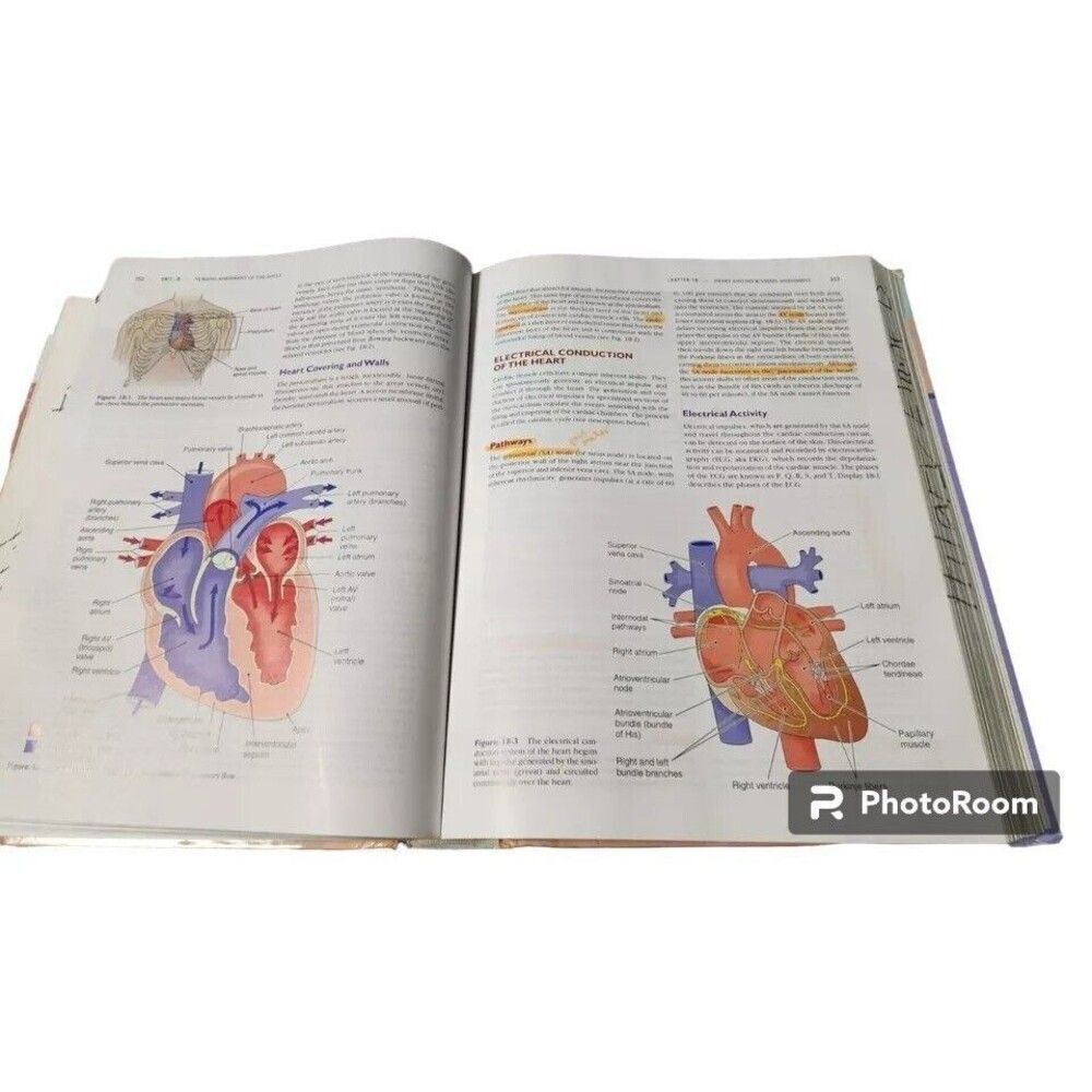Health Assessment in Nursing 3rd Edition Textbook Lippincott - Picture 7 of 7